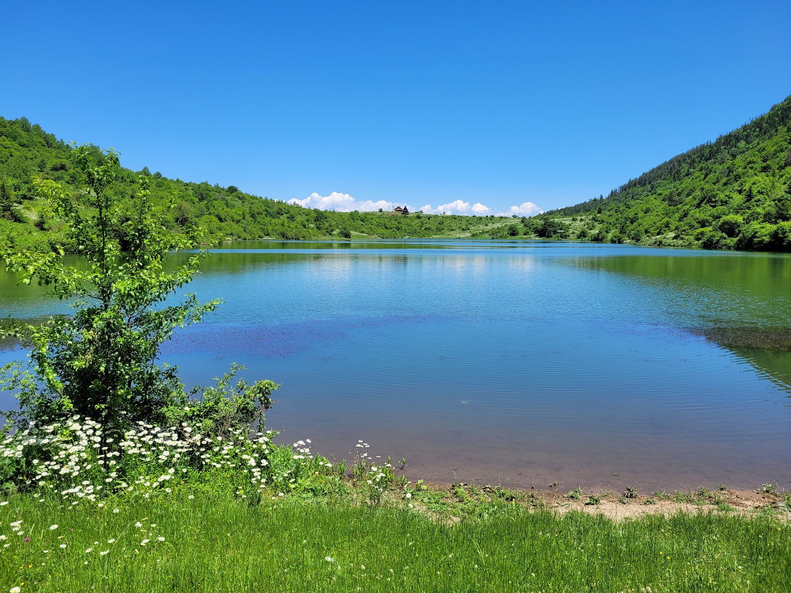 Koditskaro lake