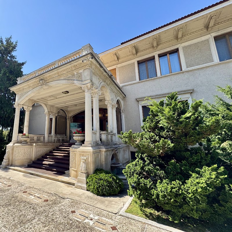 "Ceaușescu" House