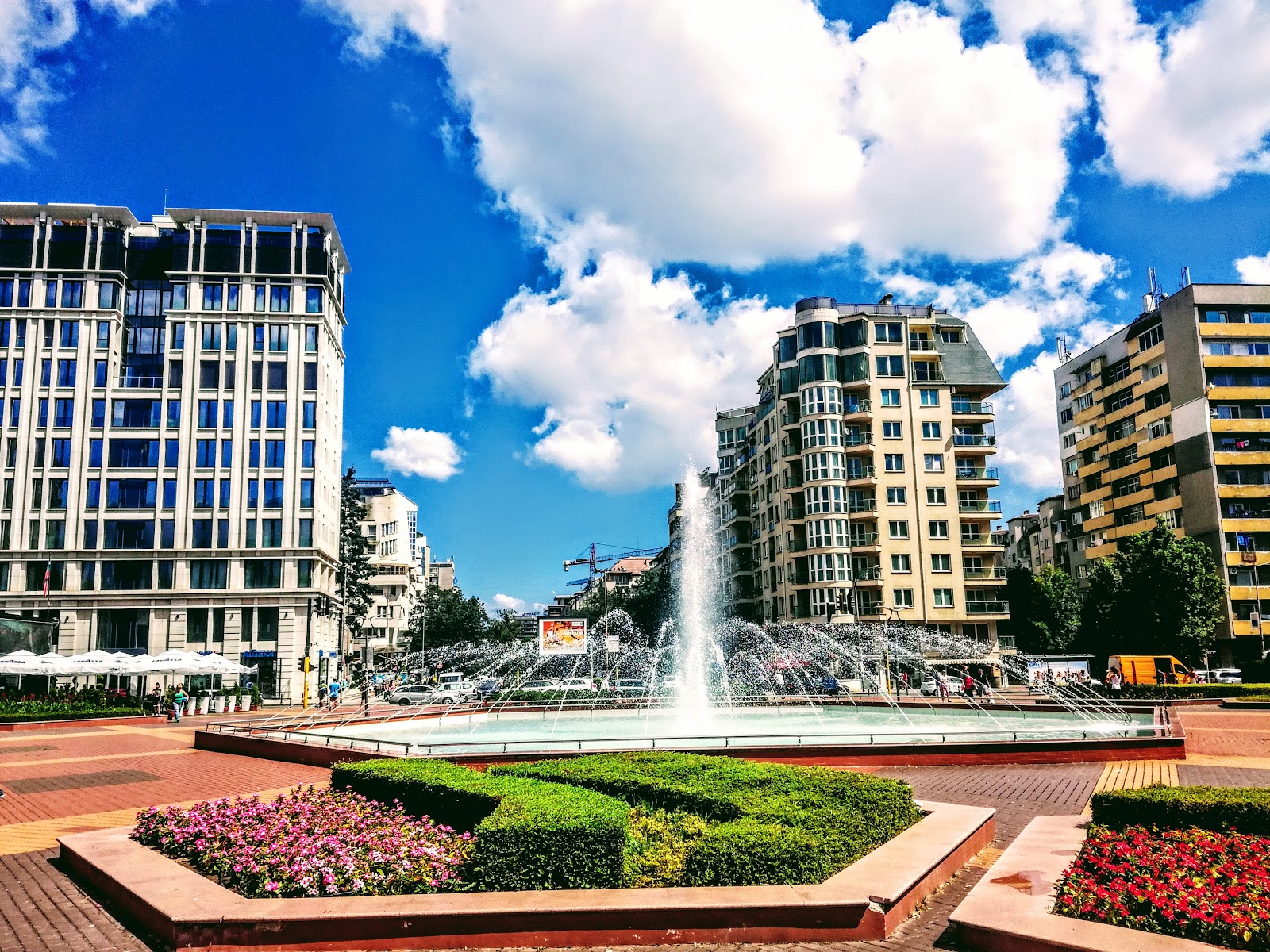 Sofia