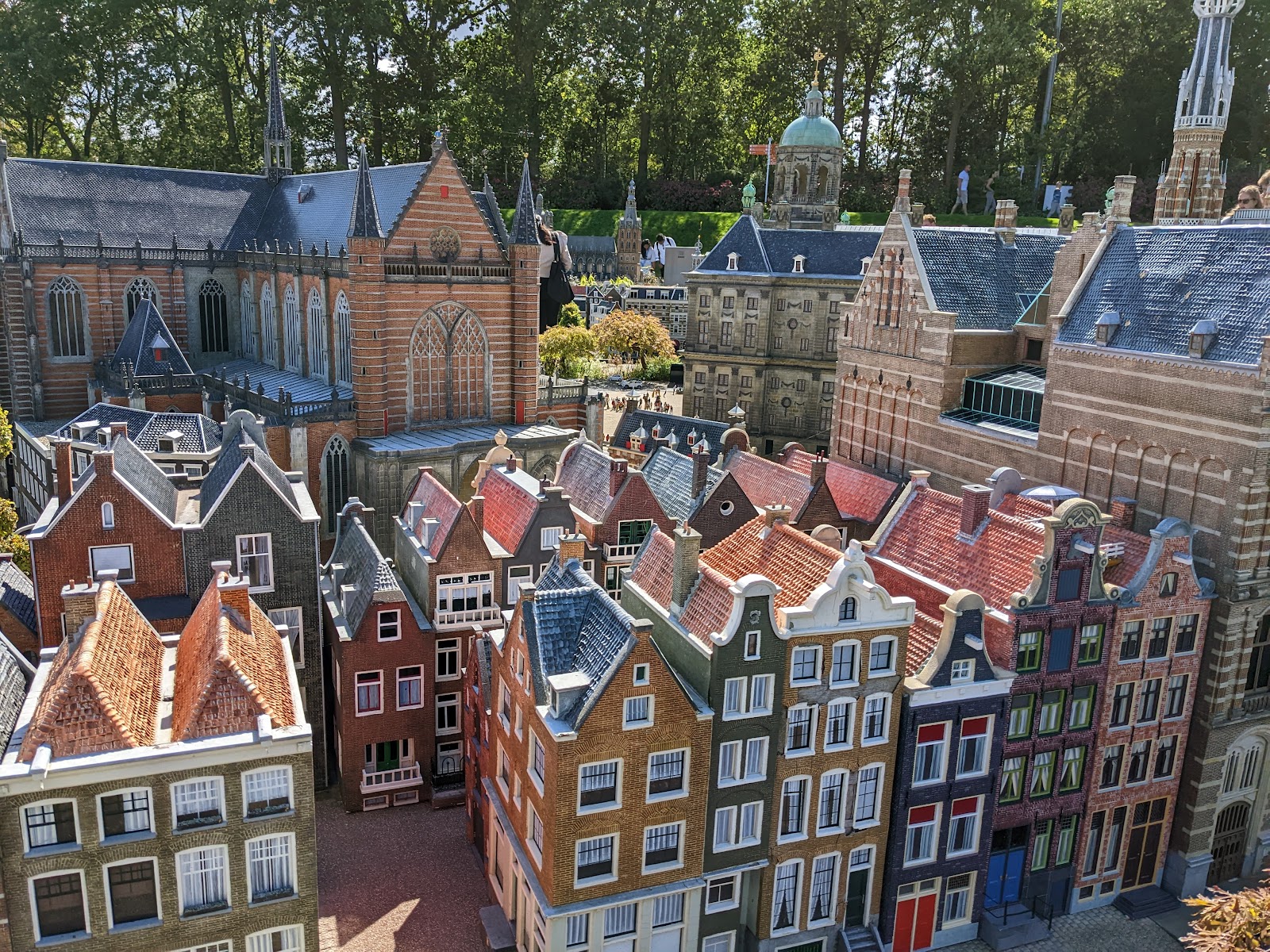 Hague